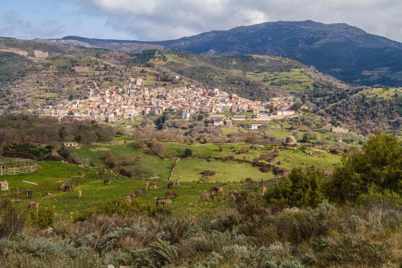 Lugori Panzió Seùlo Kültér fotó