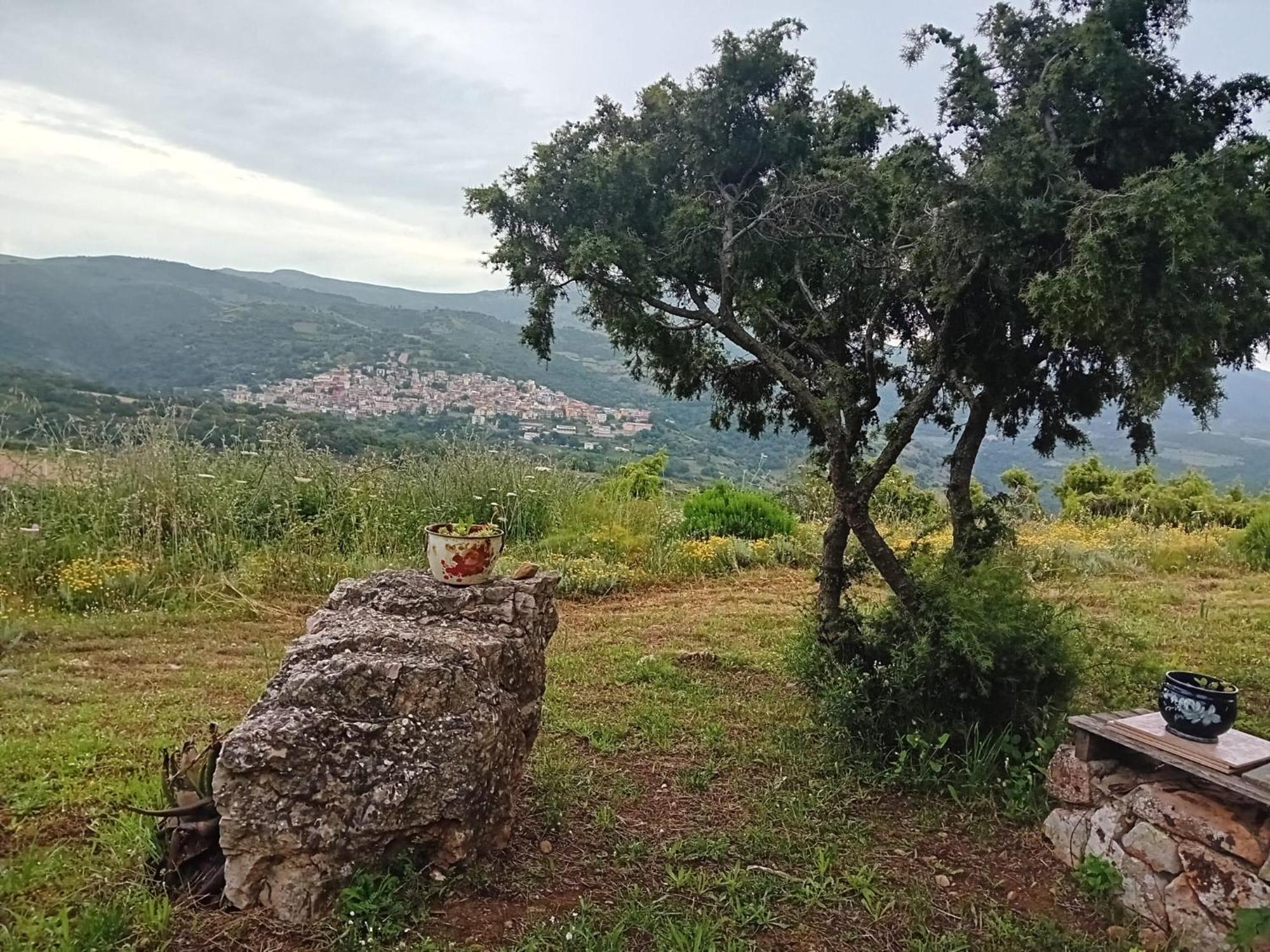 Lugori Panzió Seùlo Kültér fotó
