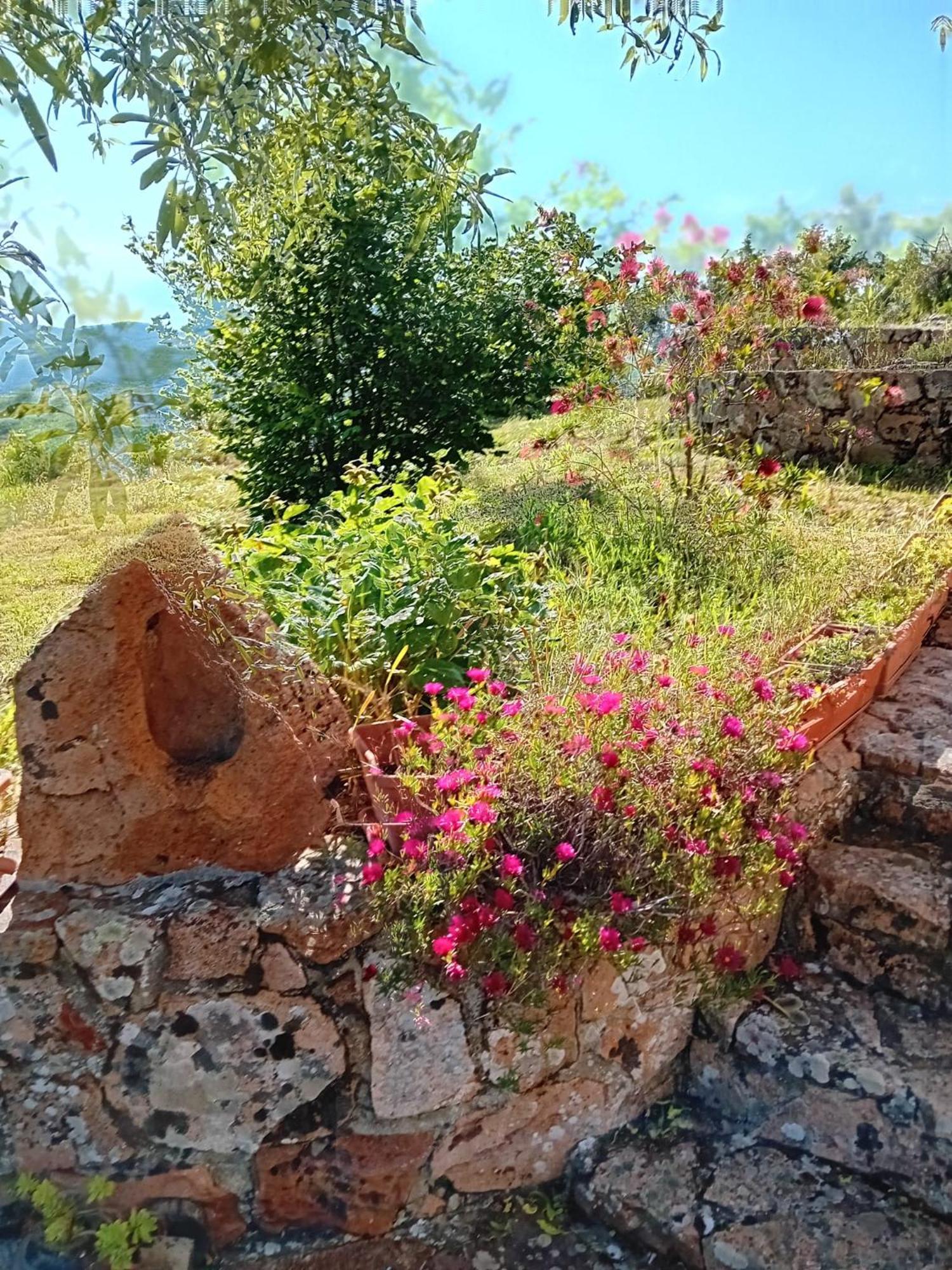 Lugori Panzió Seùlo Kültér fotó